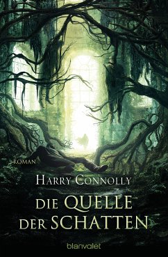 Die Quelle der Schatten / Der strahlende Weg Bd.3 (eBook, ePUB) - Connolly, Harry