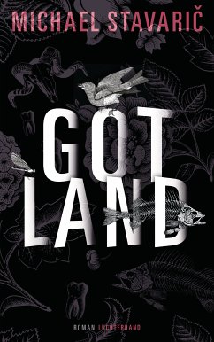 Gotland (eBook, ePUB) - Stavarič, Michael