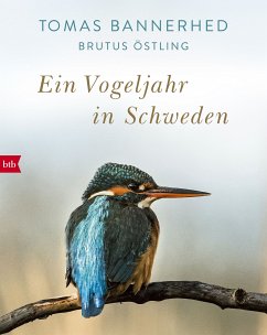 Ein Vogeljahr in Schweden (eBook, ePUB) - Bannerhed, Tomas; Östling, Brutus
