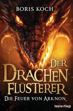 Die Feuer von Arknon / Der Drachenflüsterer Bd.4 (eBook, ePUB) - Koch, Boris