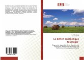 Le déficit énergétique fourrager