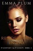 Rendezvous in Rio (Passport To Passion, #3) (eBook, ePUB)