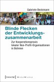 Blinde Flecken der Entwicklungszusammenarbeit (eBook, PDF)
