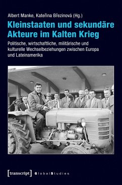 Kleinstaaten und sekundäre Akteure im Kalten Krieg (eBook, PDF)