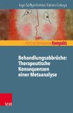 Behandlungsabbrüche: Therapeutische Konsequenzen einer Metaanalyse (eBook, PDF)