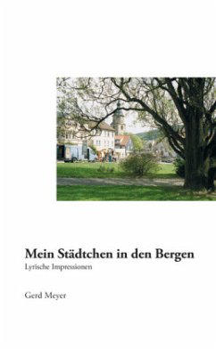 Mein Städtchen in den Bergen - Meyer, Gerd