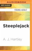 STEEPLEJACK M