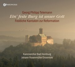 Ein' Feste Burg Ist Unser Gott-Festl.Kantaten Z - Schwark/Krell/Mammel/Paduch/Johann Rosenmüller Ens