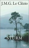 Sturm (eBook, ePUB)