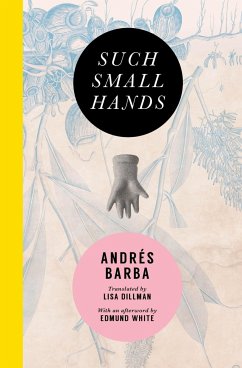 Such Small Hands - Barba, Andrés