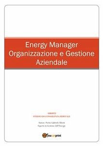 Energy Manager - Organizzazione e Gestione Aziendale (eBook, PDF) - Uberti, Gabriele