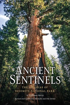 Ancient Sentinels: The Sequoias of Yosemite National Park - Harvey, Thomas