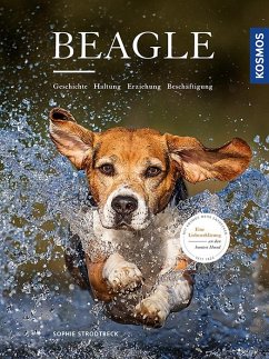 Beagle - Strodtbeck, Sophie