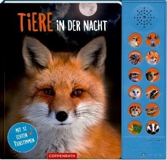 Tiere in der Nacht, m. Soundeffekten - Baier, Katja