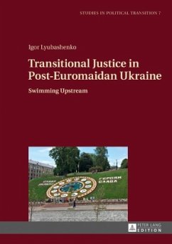 Transitional Justice in Post-Euromaidan Ukraine - Lyubashenko, Igor