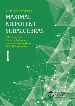 Maximal nilpotent subalgebras I: Nilradicals and Cartan subalgebras in associative algebras. With 428 exercises (eBook, PDF) - Wirsing, Sven Bodo