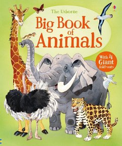 Big Book of Animals - Maskell, Hazel