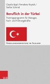Beruflich in der Türkei (eBook, PDF)
