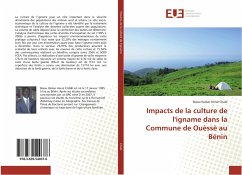 Impacts de la culture de l'igname dans la Commune de Ouèssè au Bénin - Chabi, Biaou Ibidun Hervé
