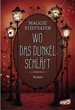 Wo das Dunkel schläft / Raven Cycle Bd.4 (eBook, ePUB) - Stiefvater, Maggie