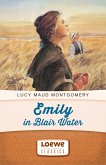 Emily in Blair Water (eBook, ePUB)