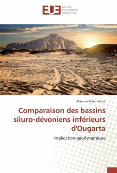 Comparaison des bassins siluro-dévoniens inférieurs d'Ougarta - Bouchakour, Massine