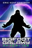 Bigfoot Galaxy: Afterlife (eBook, ePUB)