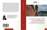 La matrice de l'âme. Tome 14. Le cerveau et les connexions transperson