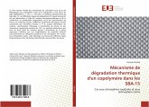 Mécanisme de dégradation thermique d'un copolymère dans les SBA-15