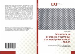 Mécanisme de dégradation thermique d'un copolymère dans les SBA-15 - Bérubé, François