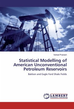 Statistical Modelling of American Unconventional Petroleum Reservoirs