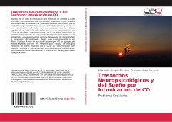 Trastornos Neuropsicológicos y del Sueño por Intoxicación de CO - Arreguín-González, Indira Judith;Ayala Guerrero, Fructuoso