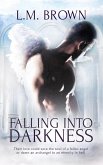 Falling Into Darkness (eBook, ePUB)