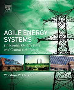 Agile Energy Systems - Clark II, Woodrow W.