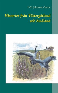 Historier från Västergötland och Småland (eBook, ePUB) - Johansson-Sutare, P-M