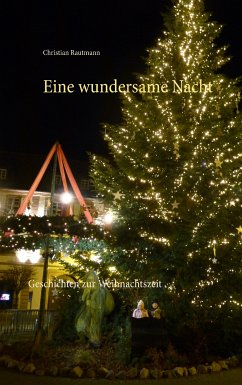 Eine wundersame Nacht (eBook, ePUB)