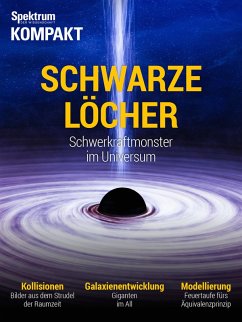 Cover Spektrum Kompakt - Schwarze Löcher (eBook, PDF)