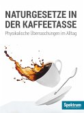 Naturgesetze in der Kaffeetasse (eBook, ePUB)