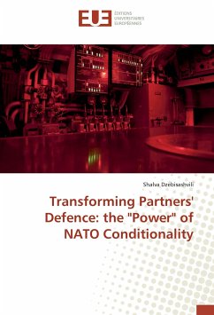 Transforming Partners' Defence: the 