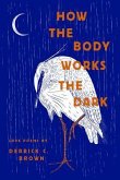 How the Body Works the Dark