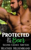 Protected By The Bear (Second Chance Shifters, #1) (eBook, ePUB)