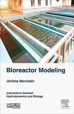 Bioreactor Modeling - Morchain, Jerome