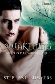 Awakening (The Willow Creek Vampires Series, #3) (eBook, ePUB)