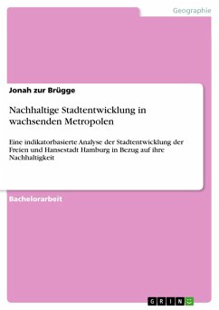 Nachhaltige Stadtentwicklung in wachsenden Metropolen (eBook, PDF)