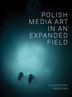 Polish Media Art in an Expanded Field (eBook, ePUB) - Kaminska, Aleksandra