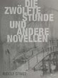 Die zwölfte Stunde und andere Novellen... - Bild 1
