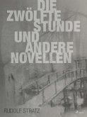 Die zwölfte Stunde und andere Novellen (eBook, ePUB)