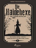 Die Haidehexe (eBook, ePUB)