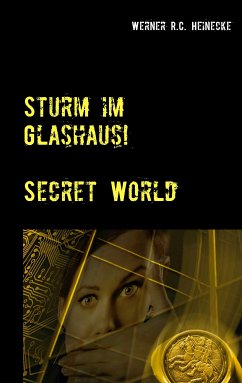 Sturm im Glashaus (eBook, ePUB)