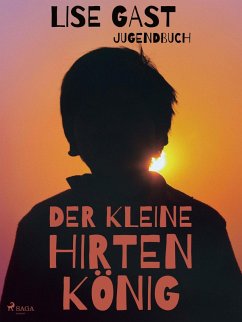 Der kleine Hirtenkönig (eBook, ePUB) - Gast, Lise